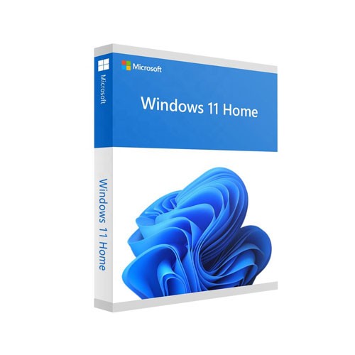 Phần mềm Win Home 11 64Bit Eng Intl 1pk DSP OEI DVD